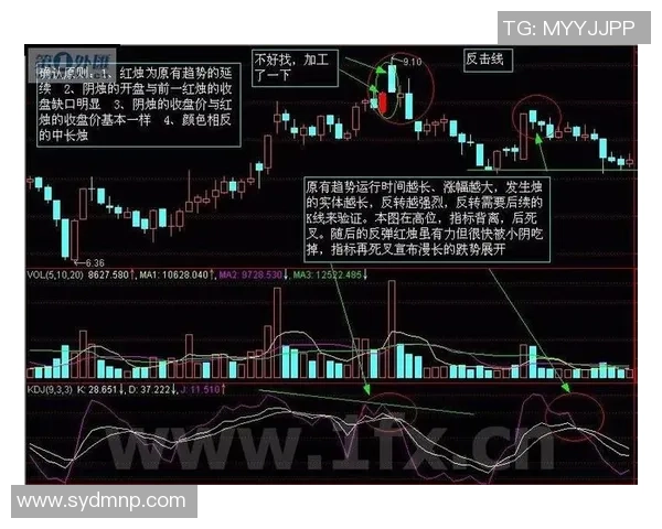 上海篮球队的快速转换战术解析与实战应用探讨