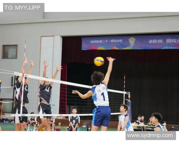 上海排球队实力分析与发展前景探讨让我们一起见证排球的魅力与激情