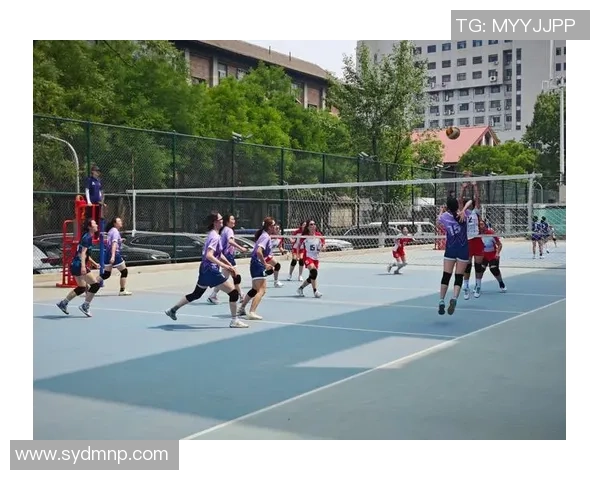 北京排球队快攻战术解析与深度剖析助力排球竞技水平提升 北京排球队快攻战术解析与深度剖析助力排球竞技水平提升