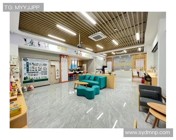 北京乒乓球队区域防守创新策略解析与实践成效探讨