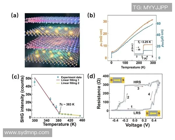 北京乒乓球队转型之路联合会杯特别报道揭示新战略与挑战