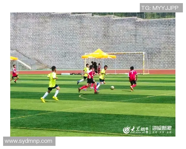 应试足球的兴起与发展对青少年足球教育的影响与思考 应试足球的兴起与发展对青少年足球教育的影响与思考