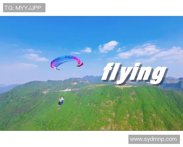 独家解析杭州极限运动队灵活性差异及其影响因素分析 独家解析杭州极限运动队灵活性差异及其影响因素分析