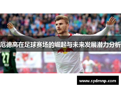 厄德高在足球赛场的崛起与未来发展潜力分析