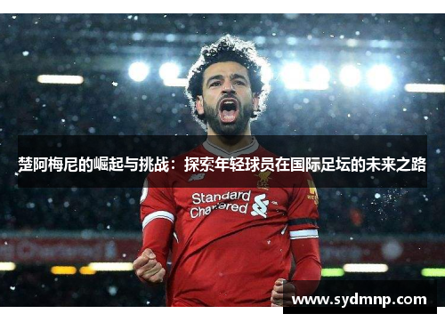 楚阿梅尼的崛起与挑战：探索年轻球员在国际足坛的未来之路